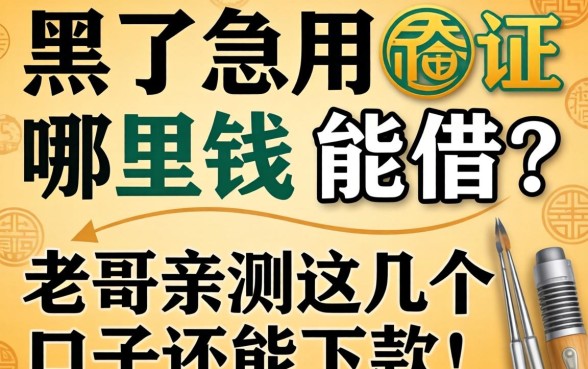 征信黑了急用钱哪里能借?老哥亲测这几个口子还能下款!