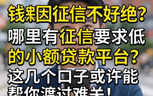 急需用钱却因征信不好被拒?哪里有征信要求低的小额贷款平台?这几个口子或许能帮你渡过难关!