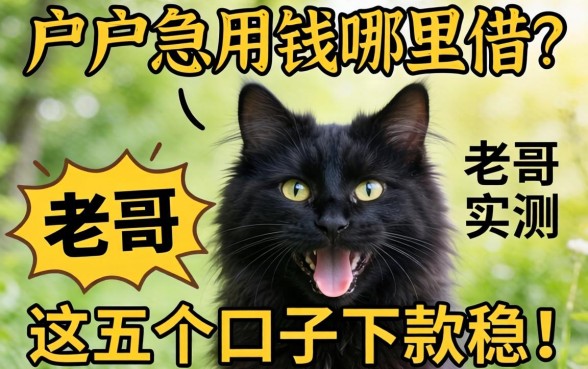 黑户急用钱哪里借?老哥实测这五个口子下款稳!