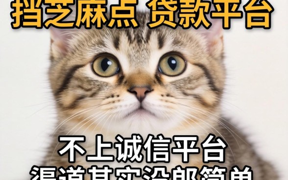 我试了无视前挡芝麻点的贷款平台,发现这些不上诚信平台的渠道其实没那么简单
