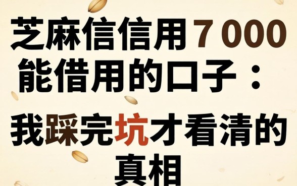 芝麻信用700能借的口子:我踩完坑才看清的真相