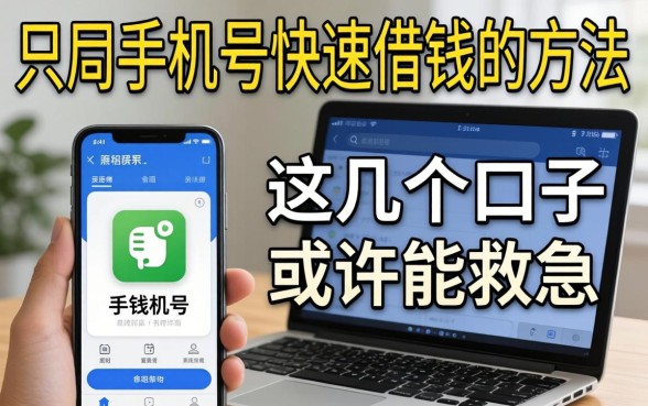 揭秘只用手机号快速借钱的方法，这几个口子或许能救急