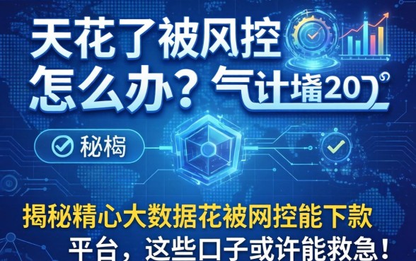 大数据花了被风控怎么办？揭秘精心大数据花被风控能下款的平台，这些口子或许能救急！