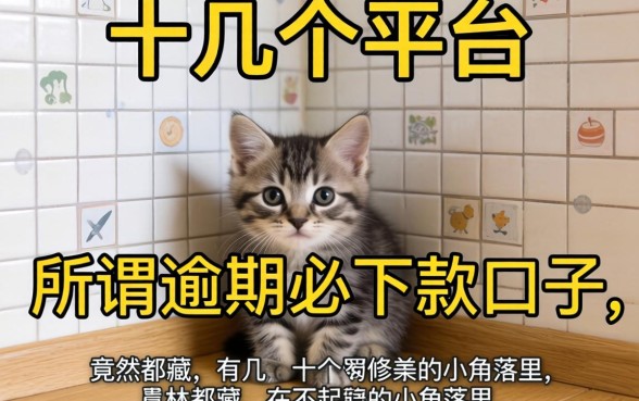 我试了十几个平台,发现所谓逾期必下款的口子,竟然都藏在不起眼的小角落里