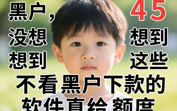 我45岁是个黑户，没想到这些不看黑户下款的软件真给额度