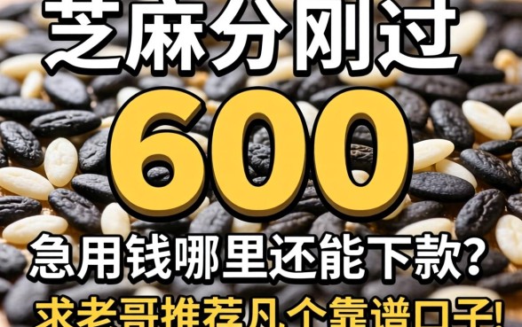 芝麻分刚过600，急用钱哪里还能下款？求老哥推荐几个靠谱口子！