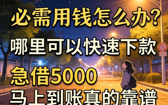 深夜急需用钱怎么办?哪里可以快速下款?2026急借5000马上到账真的靠谱吗?