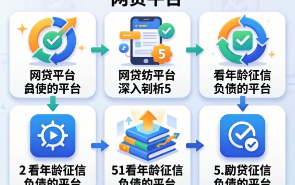 通过各种网贷平台，深入剖析5个不看年龄征信负债的平台