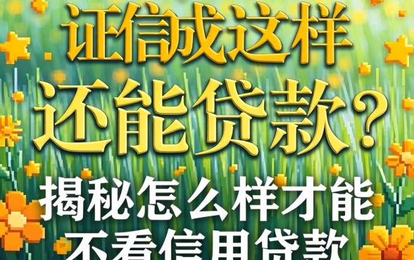 征信花成这样还能贷款?揭秘怎么样才能不看信用贷款