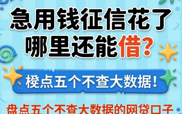 急用钱征信花了哪里还能借？盘点五个不查大数据的网贷口子