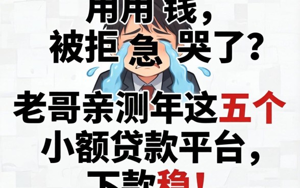 急用钱被拒急哭了？老哥亲测2026年这五个小额贷款平台，下款稳！