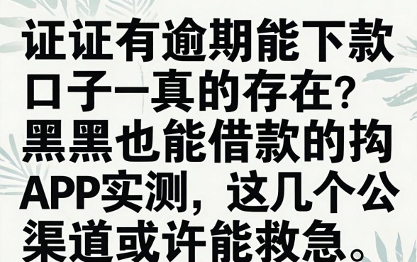 征信有逾期能下款口子真的存在?黑户也能借款的app实测,这几个渠道或许能救急