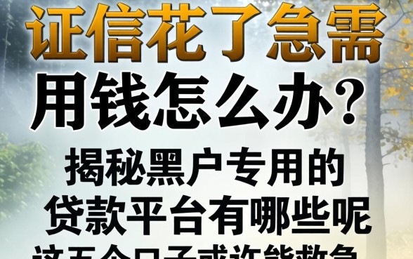 征信花了急需用钱怎么办？揭秘黑户专用的贷款平台有哪些呢，这五个口子或许能救急