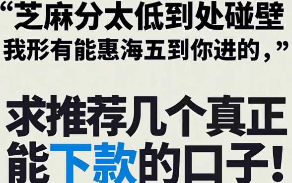 芝麻分太低到处碰壁，求推荐几个真正能下款的口子！