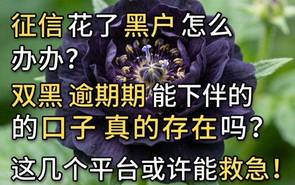 征信花了黑户怎么办？2026双黑逾期能下的口子真的存在吗？这几个平台或许能救急！