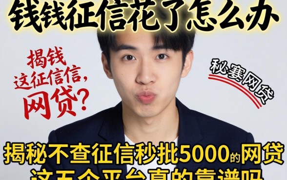 急需用钱征信花了怎么办?揭秘不查征信秒批5000的网贷,这五个平台真的靠谱吗?