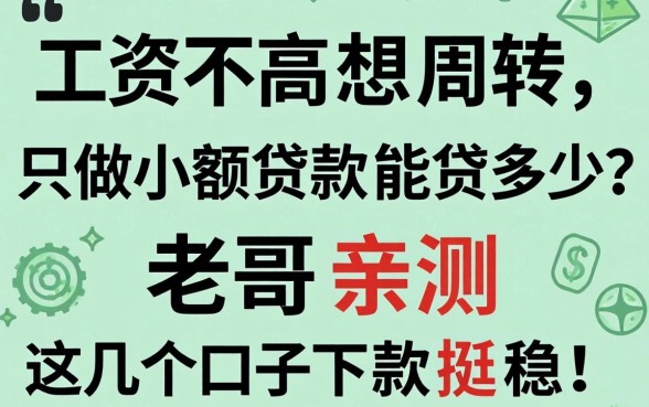 工资不高想周转，只做小额贷款能贷多少？老哥亲测这几个口子下款挺稳！