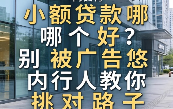 网上小额贷款那哪个好？别被广告忽悠，内行人教你挑对路子