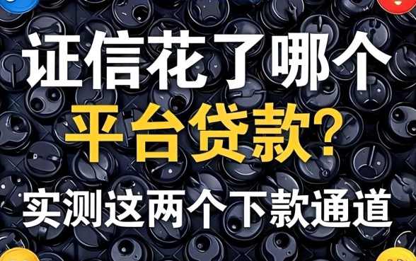 征信花了哪个平台贷款？实测这几个下款通道