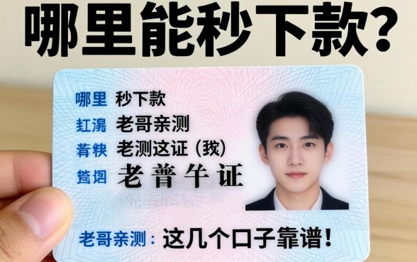 身上只有一张身份证，哪里能秒下款？老哥亲测这几个口子靠谱！
