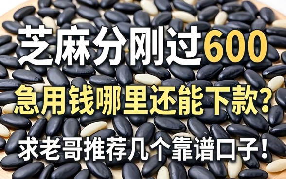 芝麻分刚过600，急用钱哪里还能下款？求老哥推荐几个靠谱口子！