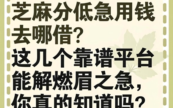 芝麻分低急用钱去哪借?这几个靠谱平台能解燃眉之急,你真的知道吗?