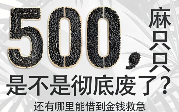 芝麻分只有500，是不是彻底废了？还有哪里能借到钱救急？
