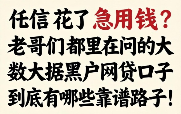 征信花了急用钱？老哥们都在问的大数据黑户网贷口子到底有哪些靠谱路子！