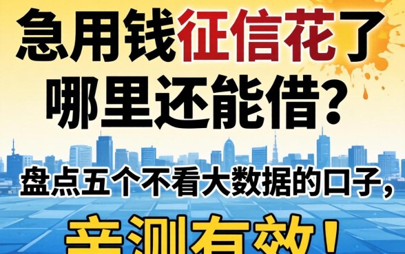急用钱征信花了哪里还能借?盘点五个不看大数据的口子,亲测有效!