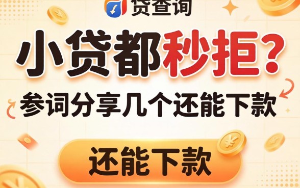 查询次数多小贷都秒拒?分享几个还能下款的渠道