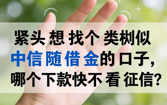 手头紧想找个类似中信随借金的口子,哪个下款快不看征信?