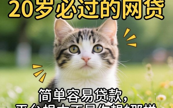 我试了几个所谓20岁必过的网贷，结果发现简单容易贷款的平台根本不是你想的那样