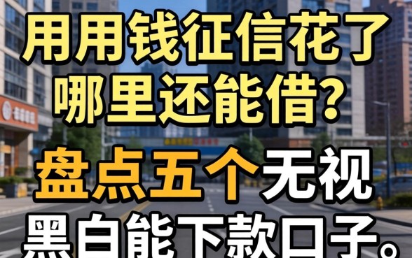 急用钱征信花了哪里还能借？盘点五个无视黑白能下款的口子