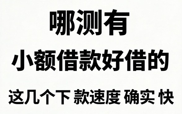 实测有哪些小额借款好借的,这几个下款速度确实快