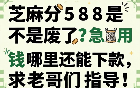 芝麻分588是不是废了？急用钱哪里还能下款，求老哥们指点！