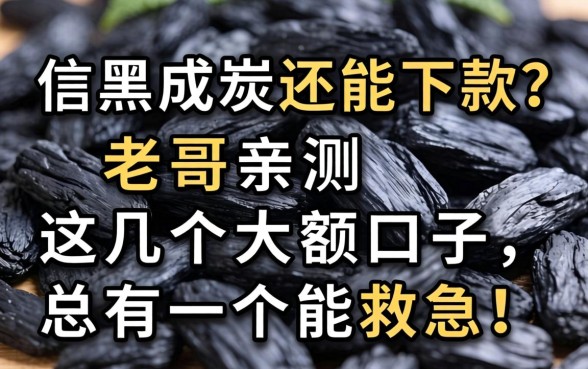 征信黑成炭还能下款?老哥亲测这几个大额口子,总有一个能救急!