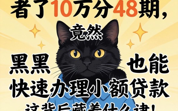 我贷了10万分48期，黑户竟然也能快速办理小额贷款，这背后藏着什么猫腻