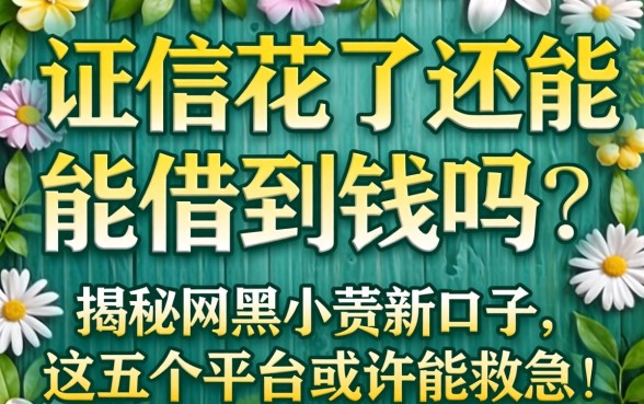 征信花了还能借到钱吗？揭秘2026网黑小贷新口子，这五个平台或许能救急！