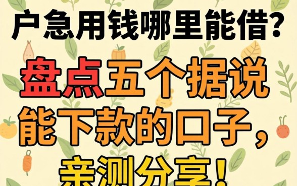 黑户急用钱哪里能借？盘点五个据说能下款的口子，亲测分享！