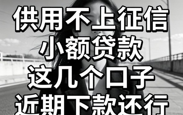 黑白用户不上征信小额贷款，这几个口子近期下款还行