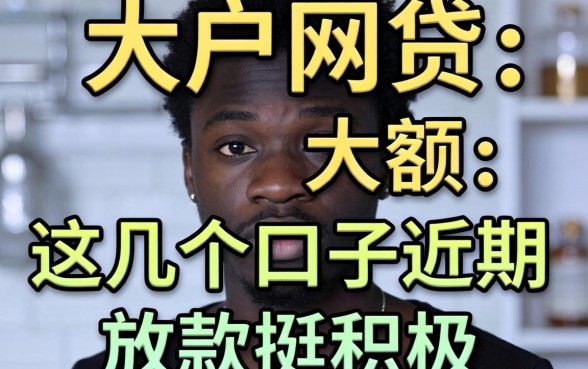 无视黑户的网贷 大额：这几个口子近期放款挺积极