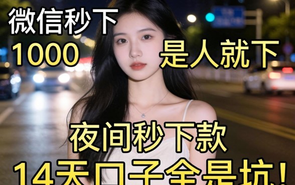 我试了微信秒下1000是人就下2026，发现夜间秒下款的14天口子全是坑