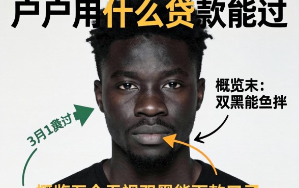 黑户用什么贷款能过，概览五个无视双黑能下款的口子