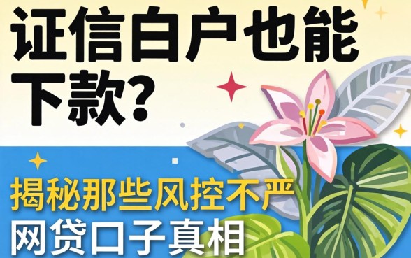 征信白户也能下款？揭秘那些风控不严的网贷口子真相