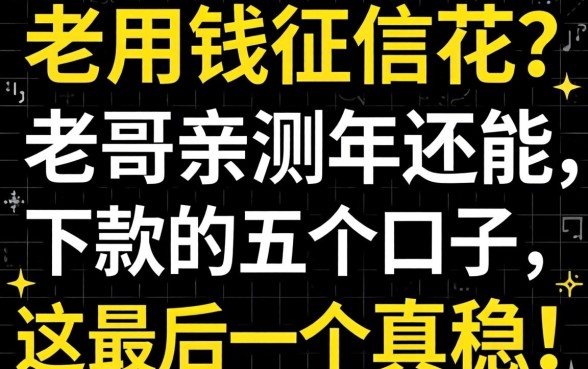 急用钱征信花？老哥亲测2026年还能下款的五个口子，这最后一个真稳！