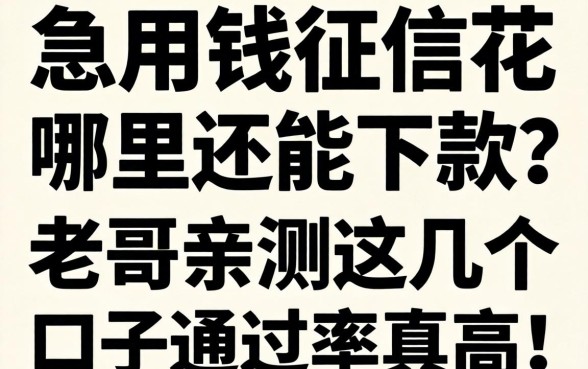 急用钱征信花哪里还能下款？老哥亲测这几个口子通过率真高！