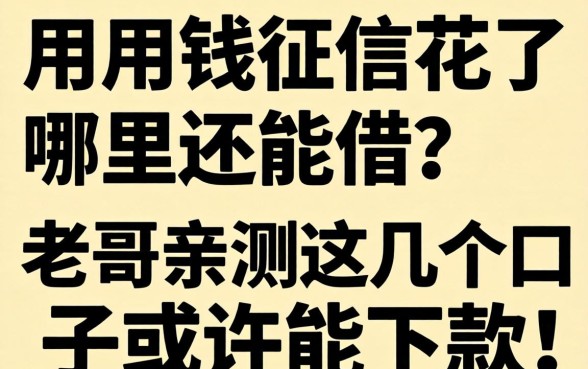 急用钱征信花了哪里还能借？老哥亲测这几个口子或许能下款！