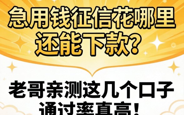急用钱征信花哪里还能下款？老哥亲测这几个口子通过率真高！
