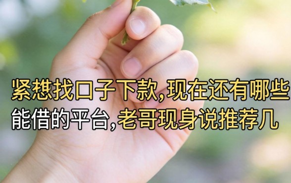 手里头紧想找口子下款，现在还有哪些能借的平台？老哥现身说法推荐几个！
