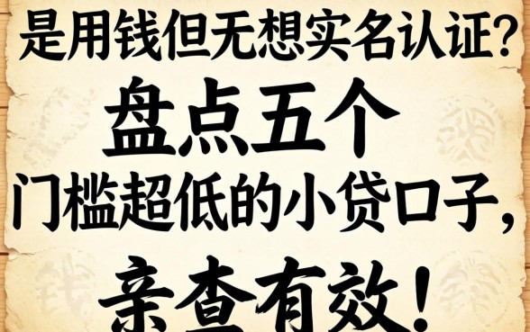 急用钱但不想实名认证？盘点五个门槛超低的小贷口子，亲测有效！